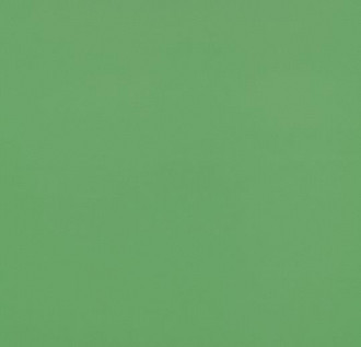 Спортивный линолеум Forbo Spotrline 4,3 мм 3040 Lime Спортивный линолеум Forbo Spotrline 4,3 мм 3040 Lime