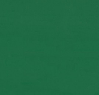 Спортивный линолеум Forbo Spotrline 4,3 мм 5030 Green Спортивный линолеум Forbo Spotrline 4,3 мм 5030 Green
