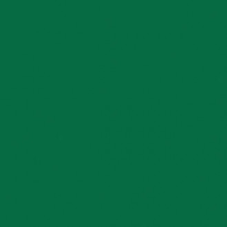 Спортивный линолеум Tarkett OMNISPORTS R65 FIELD GREEN